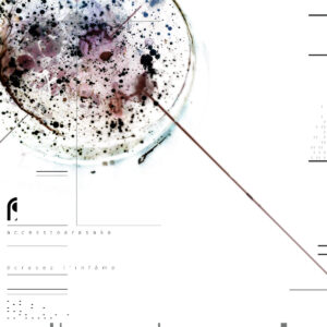 Access to Arasaka - Écrasez l'Infâme - Album