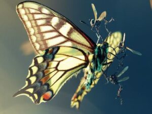 Amon Tobin ISAM - Progetto - Album Elettronica