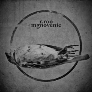 r.roo - Mgnovenie - Album Musica Elettronica