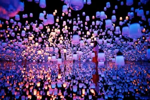 MORI Building DIGITAL ART MUSEUM - teamLab