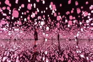 teamLab - Installazioni Immersive - Arte Visiv