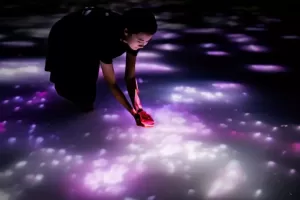 teamLab - Collettivo Arte Visiva