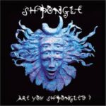 Shpongle - Are You Shpongled - Album Elettronica