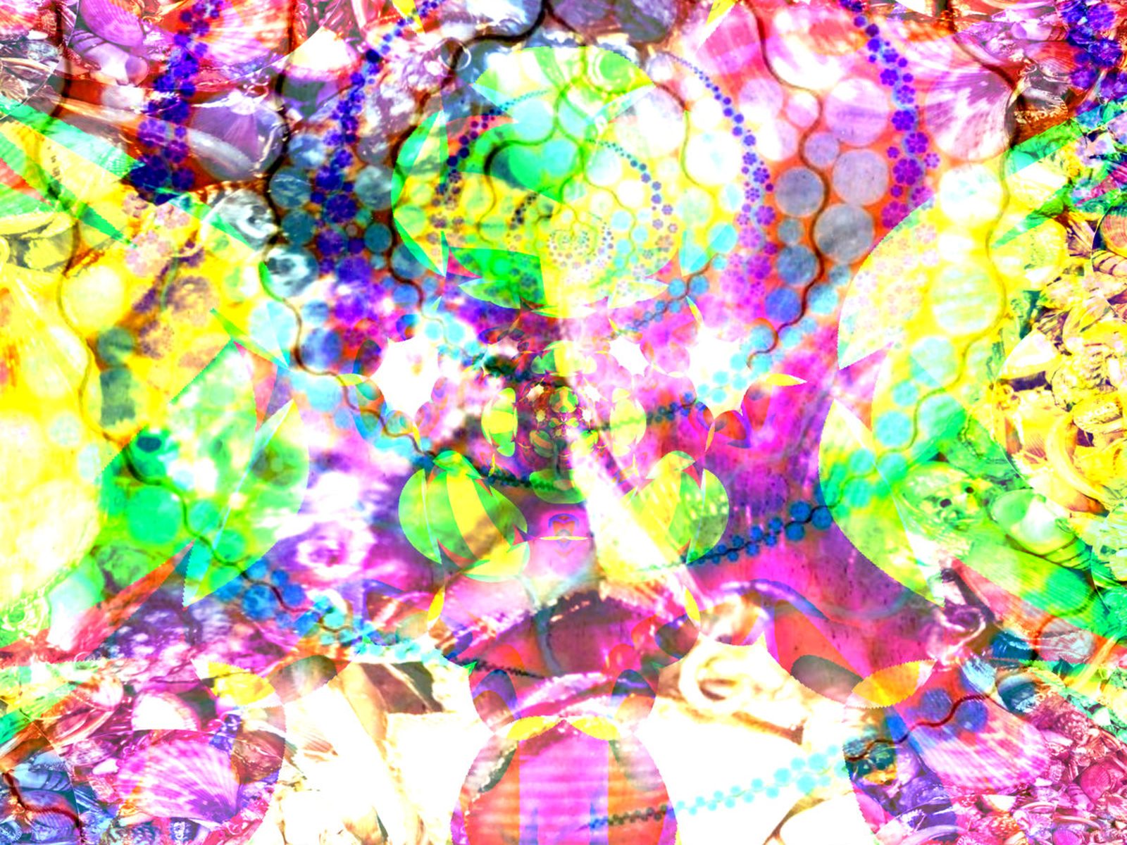 Copertina di rot_helixangel2sprite // rhizomatic dissostruktures di IHP, collage psichedelico di conchiglie e colori